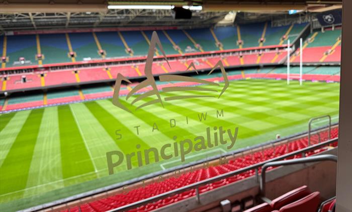 The iconic Principality Stadium pitch, viewed from the stadium's premium hospitality areas.